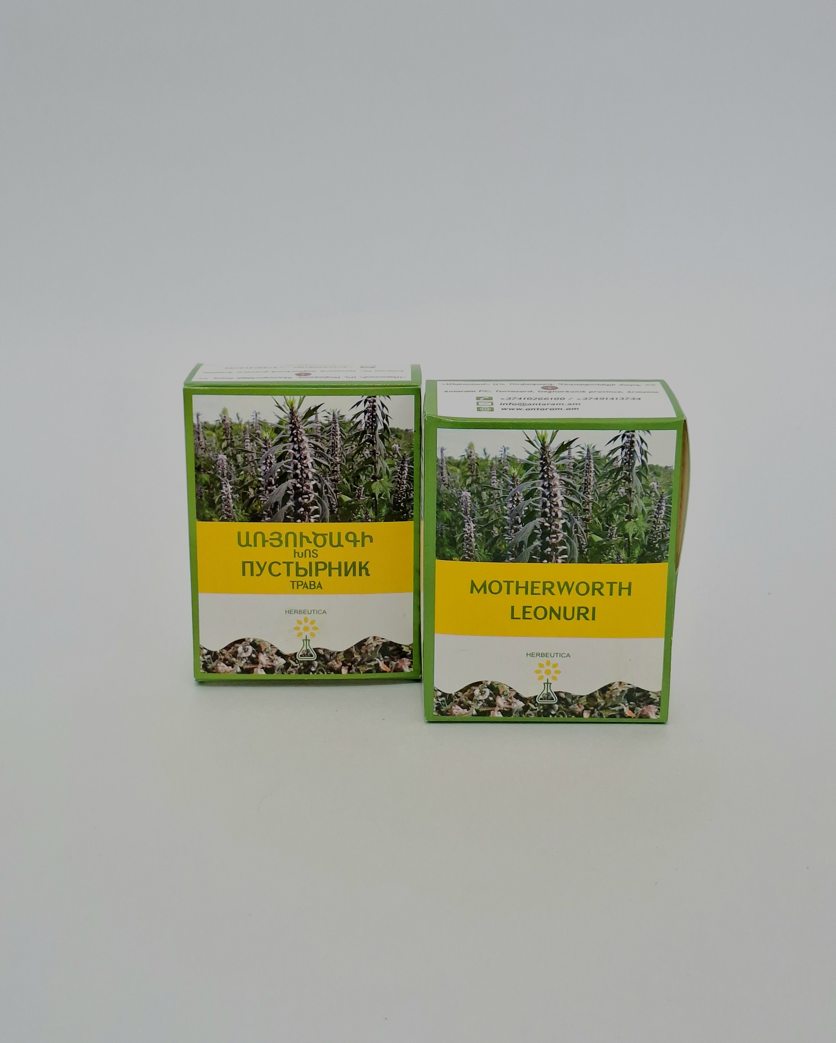 Motherwort herb 30g Antaram Armeniya