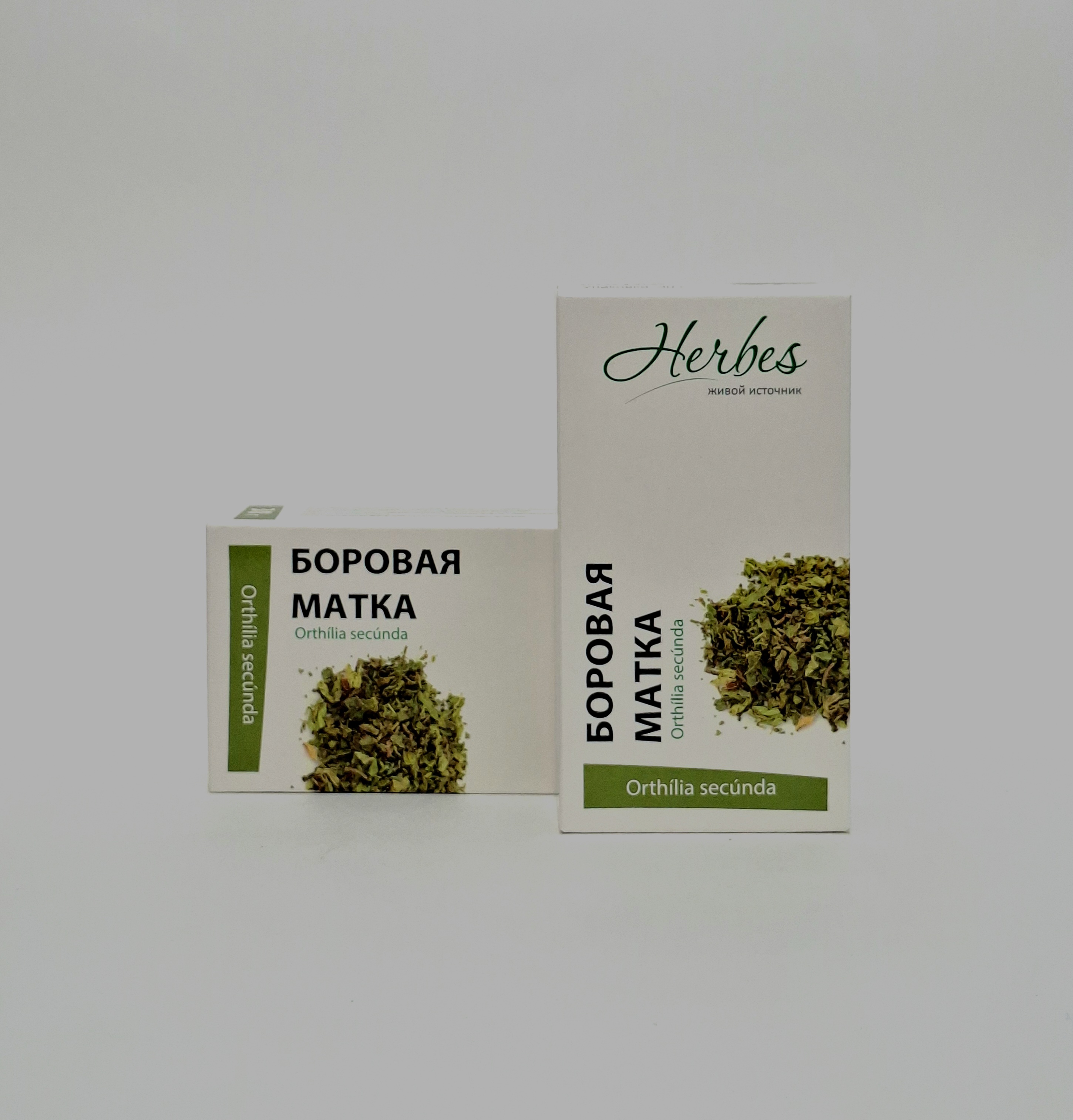 Borovaya matka 30g Kherbes.Russia